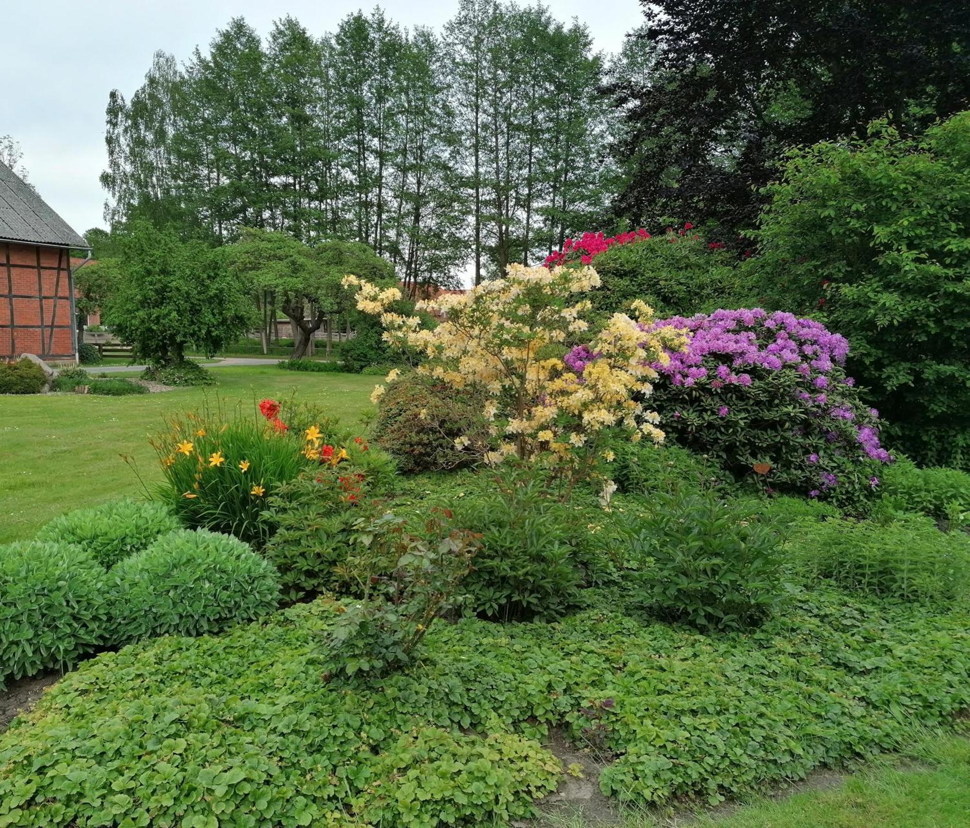 Ferienwohnung Am Teich Dannenberg Bagian luar foto